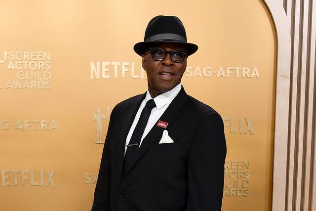 31st Annual SAG Awards - Arrivals