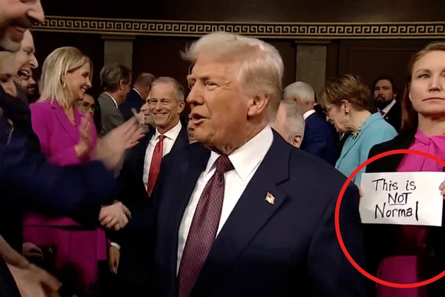 <p>Democrat's This Is Not Normal sign snatched, nearly hitting Trump </p>