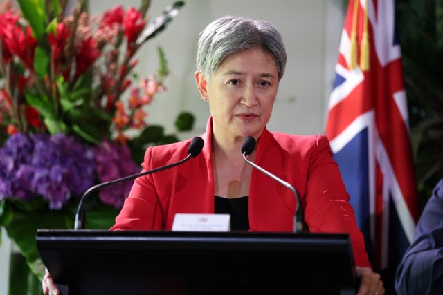 <p>File: Penny Wong, Australia's minister for foreign affairs says she is hopeful of securing tariff exemptions</p>