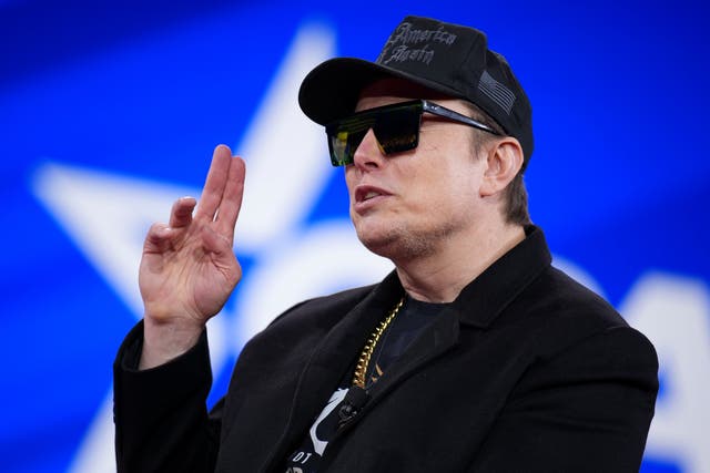 <p>Elon Musk is a fellow of the Royal Society, the world’s oldest scientific academy</p>