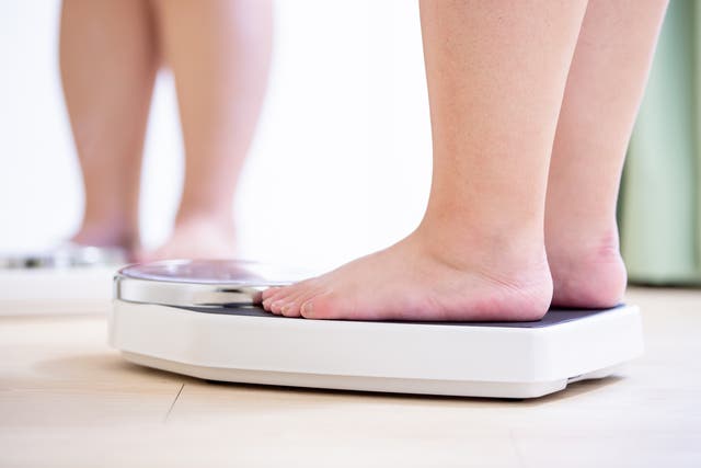 <p>Obesity among children will continue to rise, research has found</p>