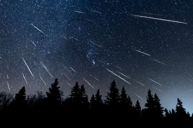 <p>The 2025 Quadrantid meteor shower will peak on 3 January in the northern hemisphere</p>