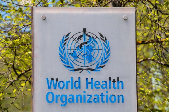 <p>The World Health Organization is helping investigate the outbreak</p>