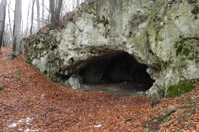 <p>Entrance to the Maszycka cave</p>